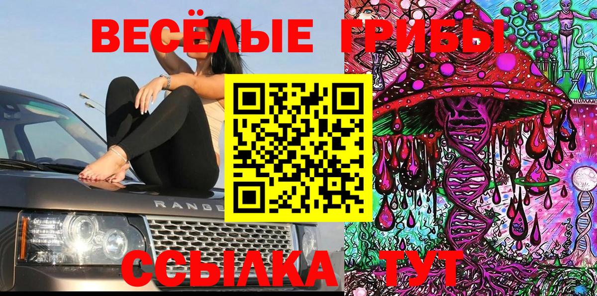Псилоцибиновые грибы GOLDEN TEACHER Барнаул