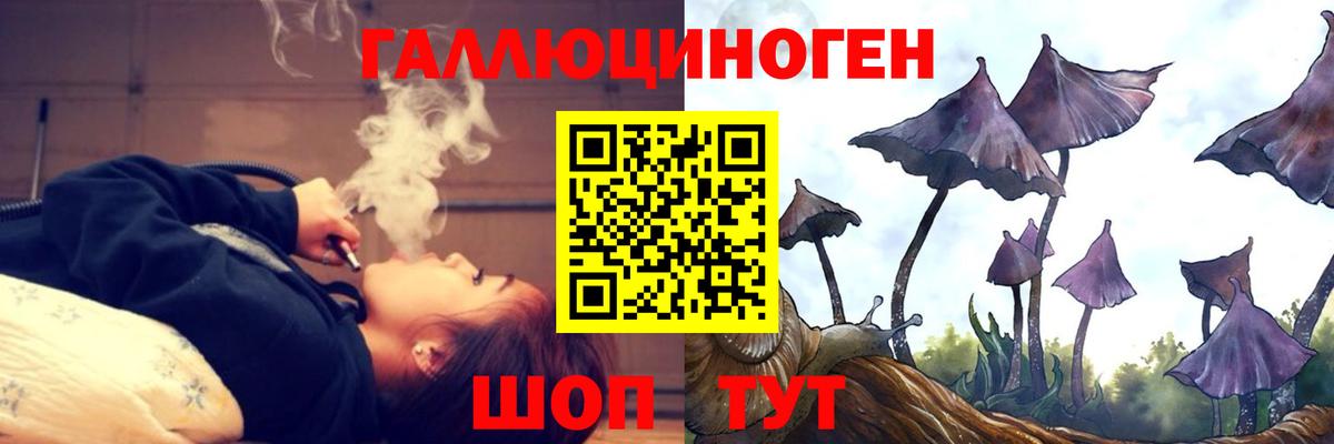 Псилоцибиновые грибы GOLDEN TEACHER  Псилоцибиновые грибы Magic Shrooms  наркота  Вход с VPN  Барнаул 