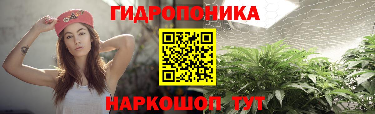 Шишки марихуана конопля  Шишки марихуана планчик  Вход с VPN  Барнаул  Бошки Шишки VHQ 